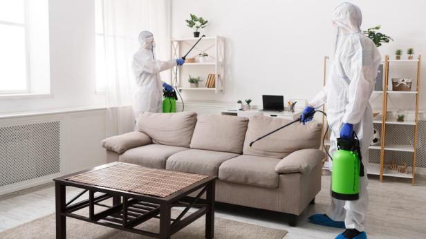 Prevent Pest Infestations Through Proper Home Maintenance